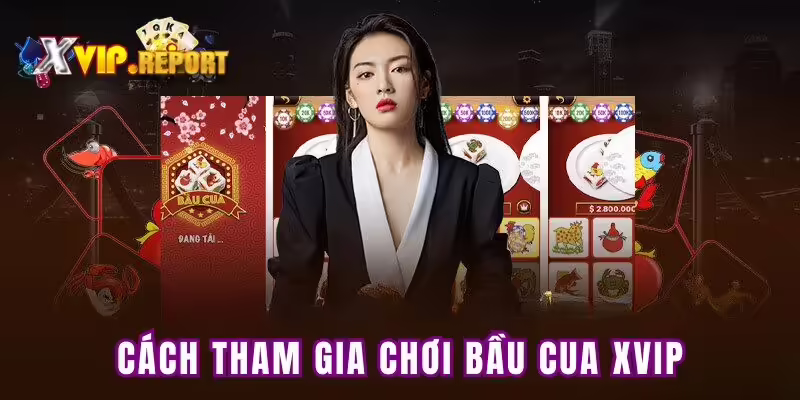 Cách tham gia chơi bầu cua XVIP