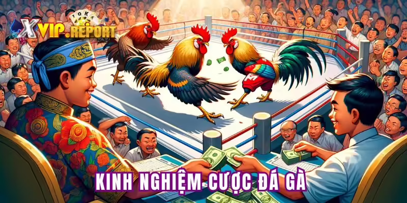Bí quyết cược chọi gà dễ dành chiến thắng cho game thủ