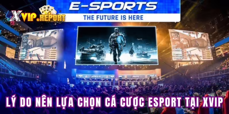 Lý do nên chọn cá cược esport tại Xvip