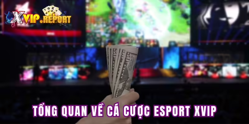 Tổng quan về cá cược esport Xvip