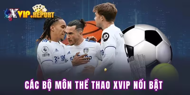 Các bộ môn thể thao XVIP nổi bật