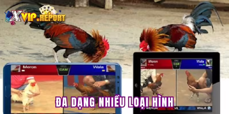 Sảnh game đa dạng nhiều loại hình hấp dẫn