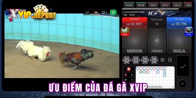 Những điểm nổi bật của sảnh đá gà Xvip