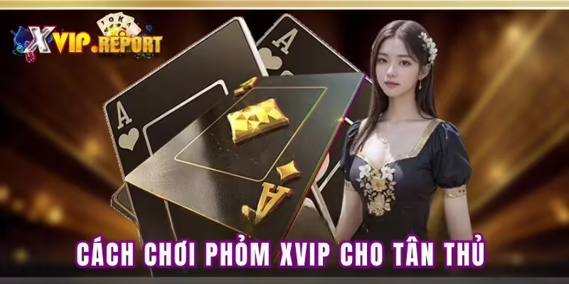 Cách chơi phỏm XVIP cho tân thủ