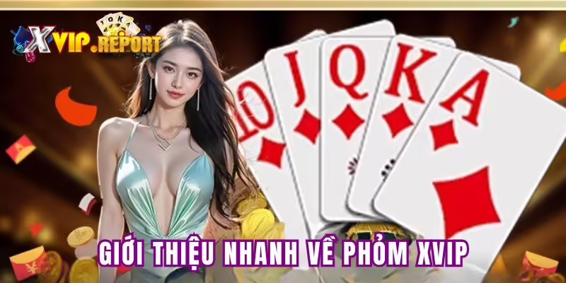 Giới thiệu nhanh về phỏm XVIP