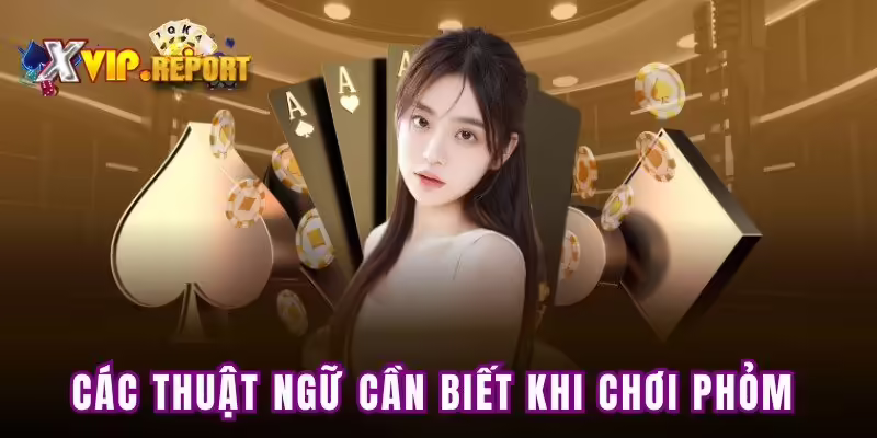 Các thuật ngữ cần biết khi chơi phỏm
