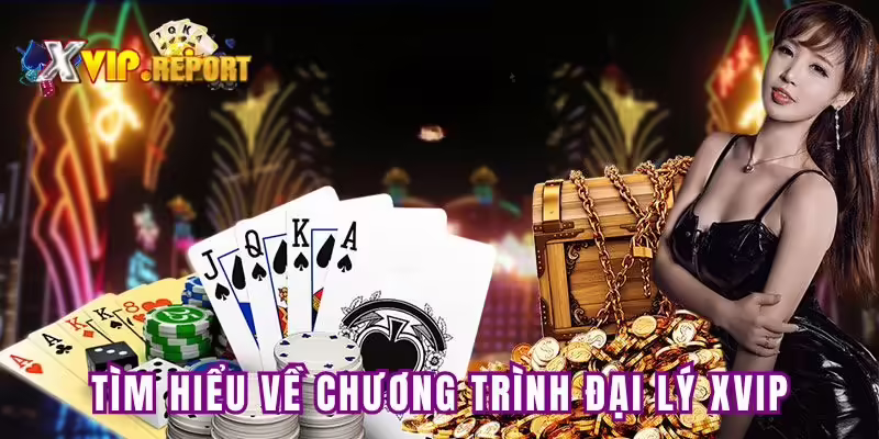 Giới thiệu chương trình đại lý Xvip